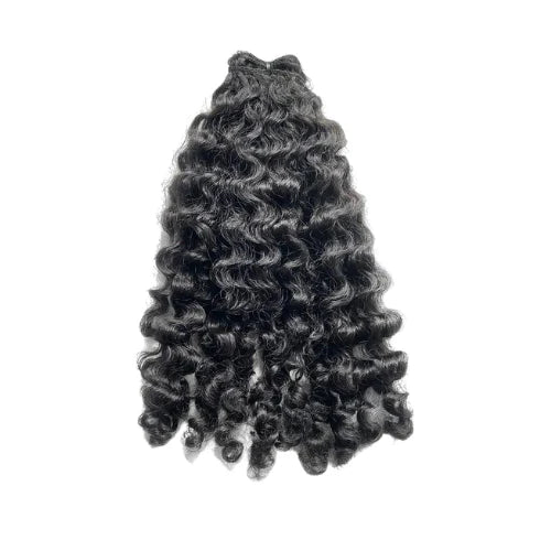 Burmese Curly